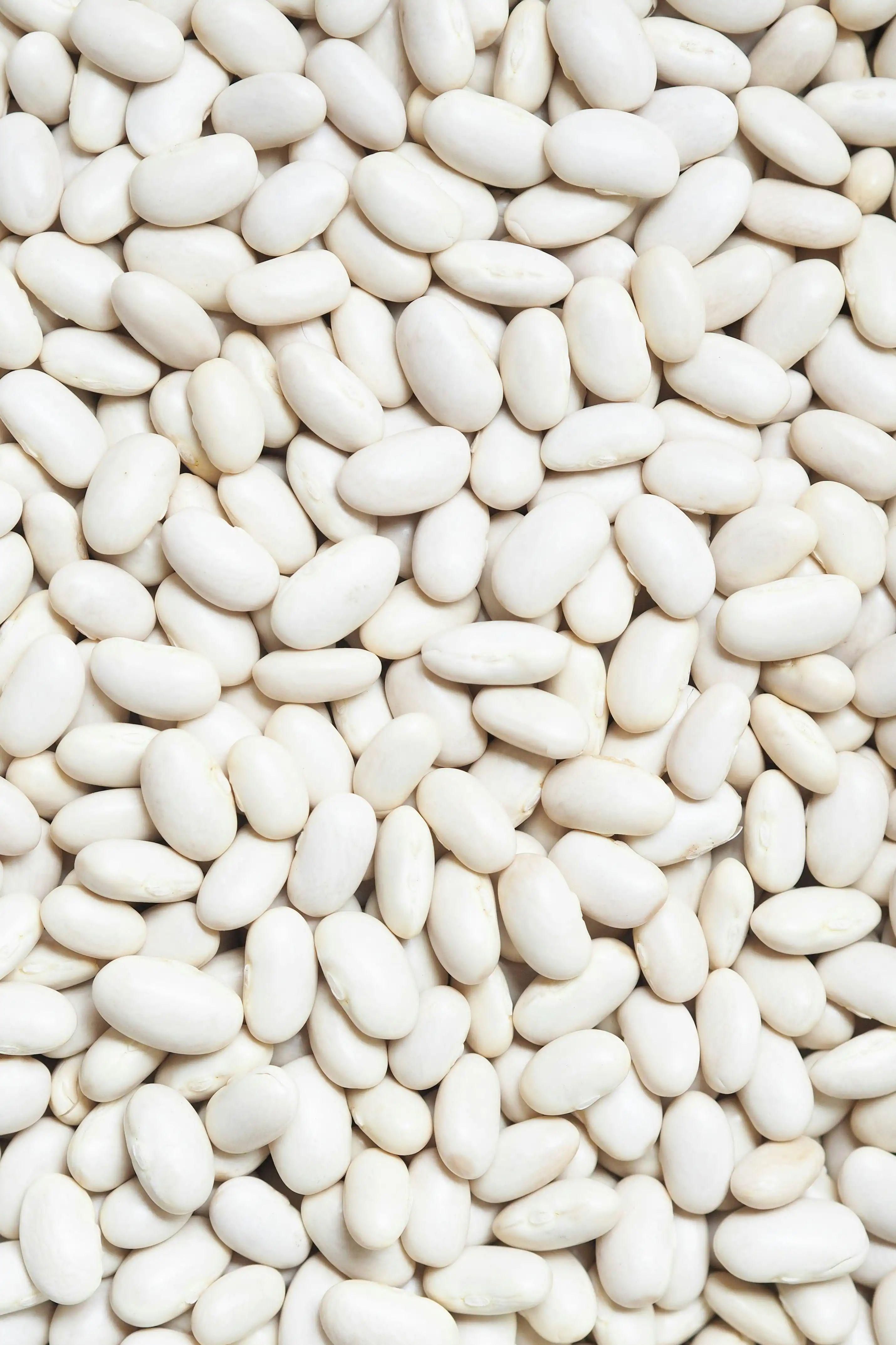 White beans, dry seeds