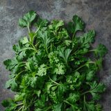 Parsley Leaves