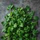 Parsley Leaves