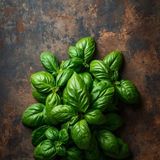 Basil, Fresh